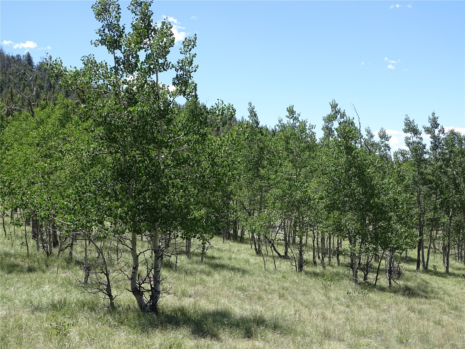 782 Bowstring Road Como CO 80432