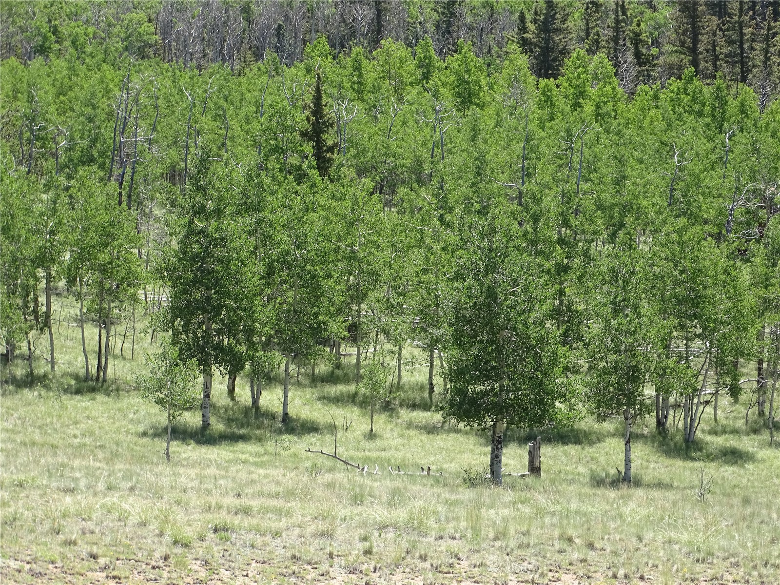 782 Bowstring Road Como CO 80432