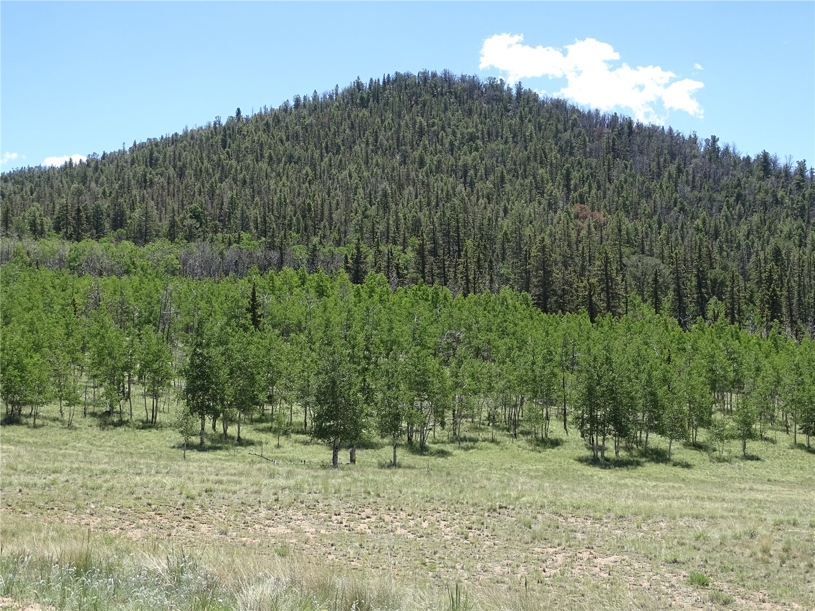 782 Bowstring Road Como CO 80432