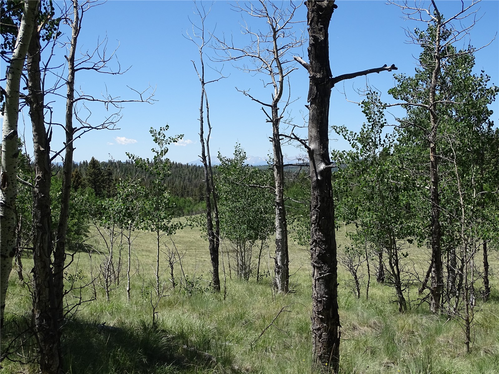 782 Bowstring Road Como CO 80432
