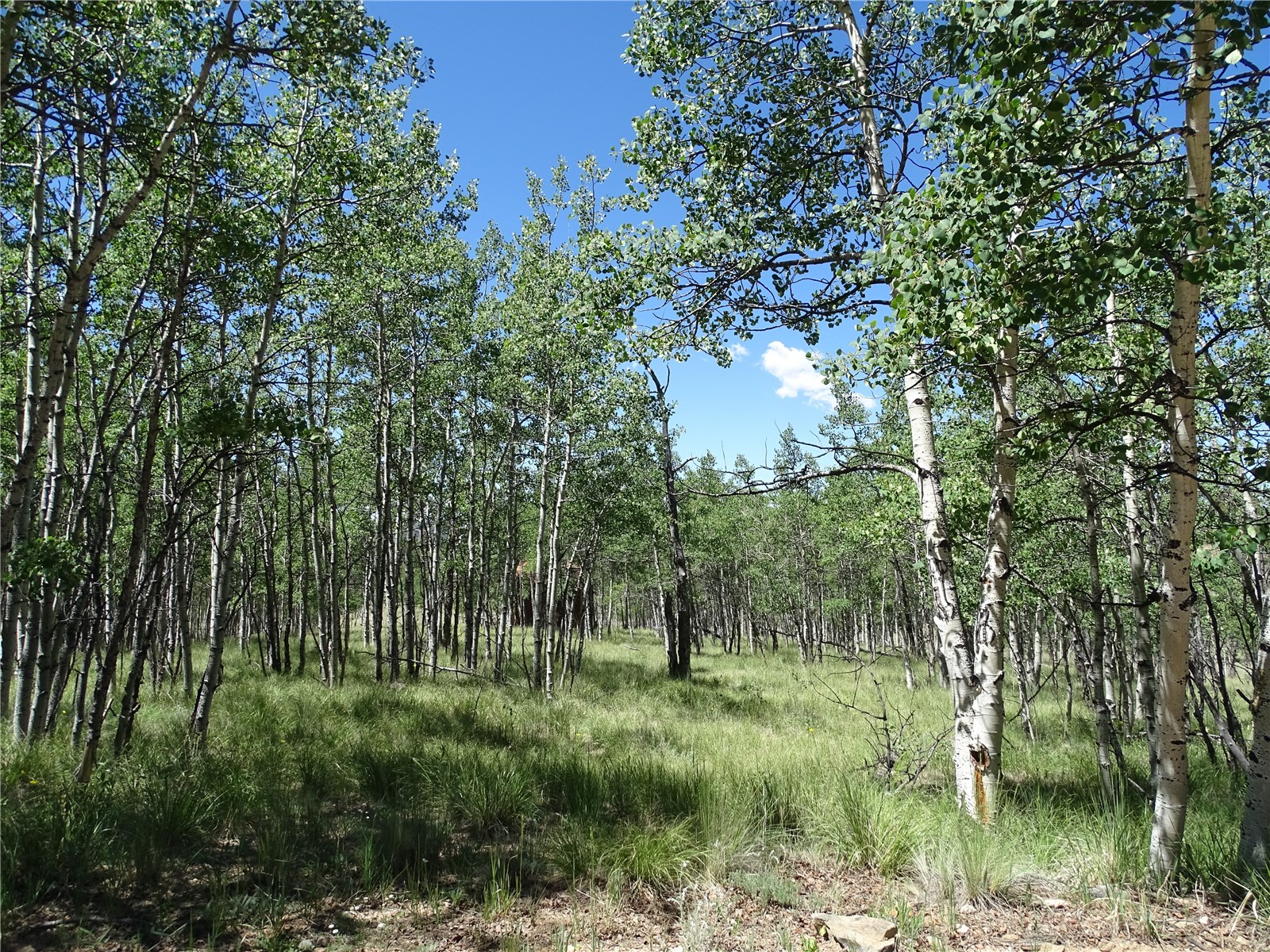 782 Bowstring Road Como CO 80432