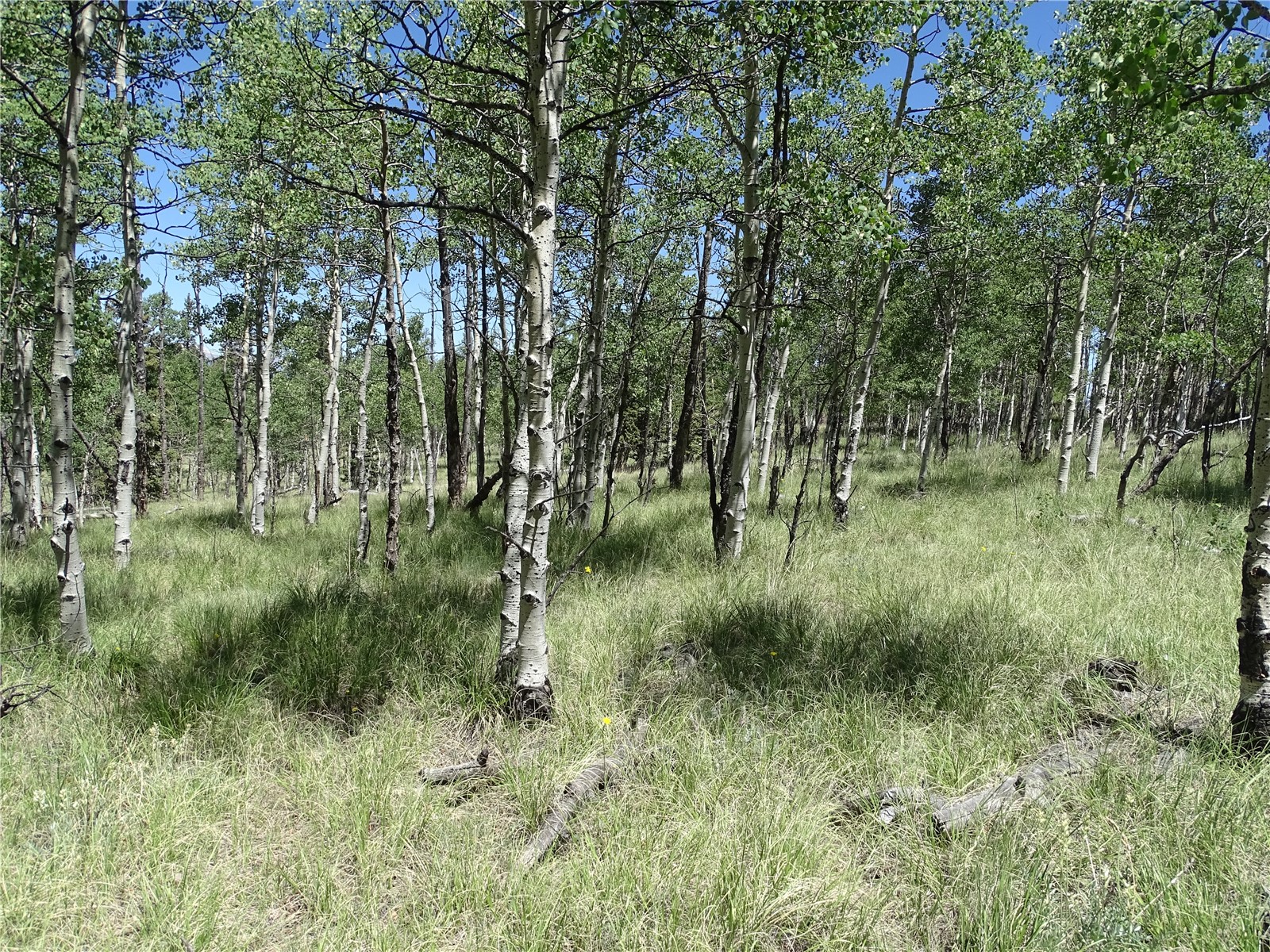 782 Bowstring Road Como CO 80432