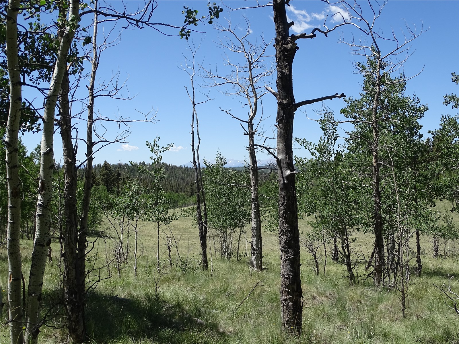 782 Bowstring Road Como CO 80432