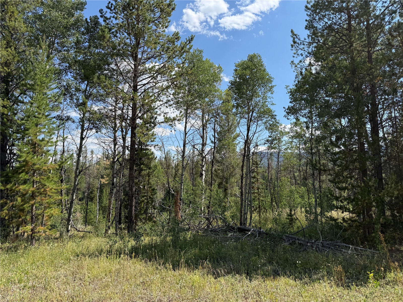 Lot 61 & 62 Big Whip Way Oak Creek CO 80467