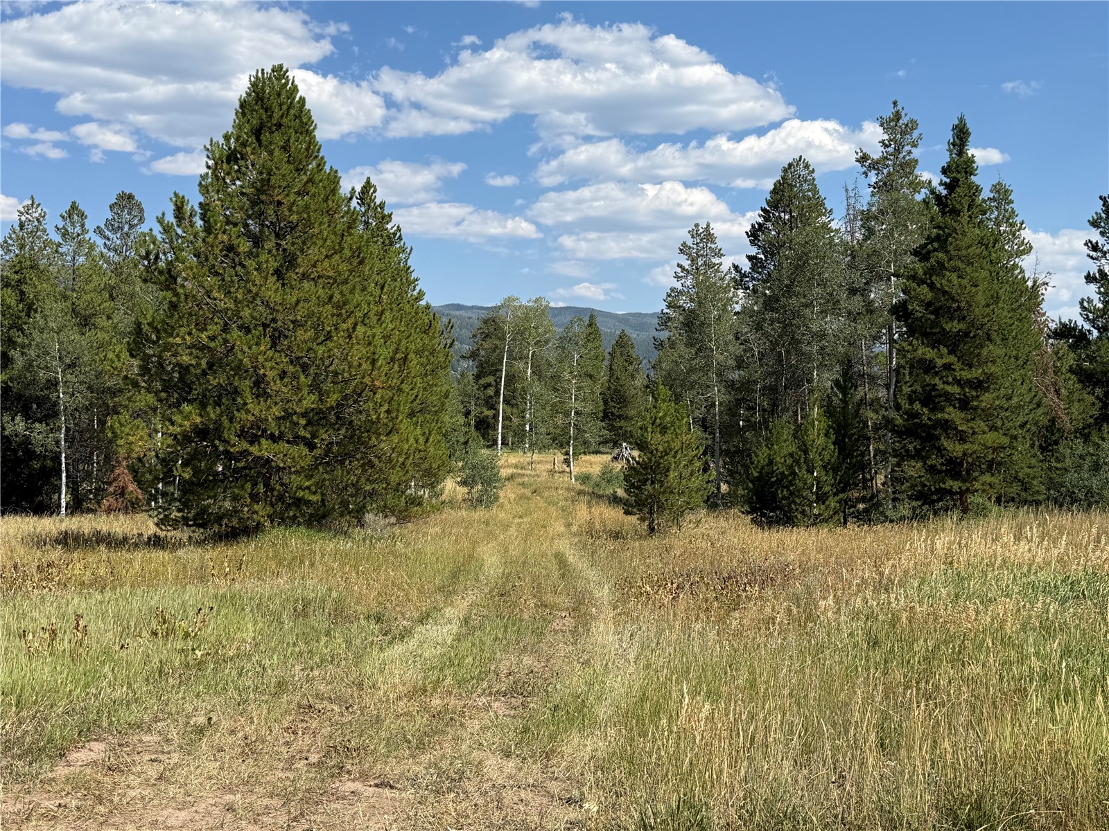 Lot 61 & 62 Big Whip Way Oak Creek CO 80467