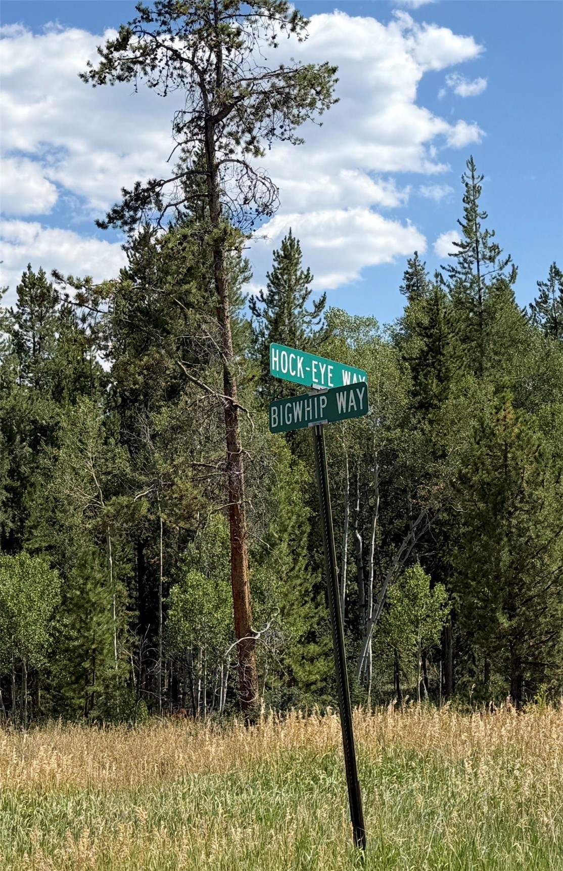 Lot 61 & 62 Big Whip Way Oak Creek CO 80467