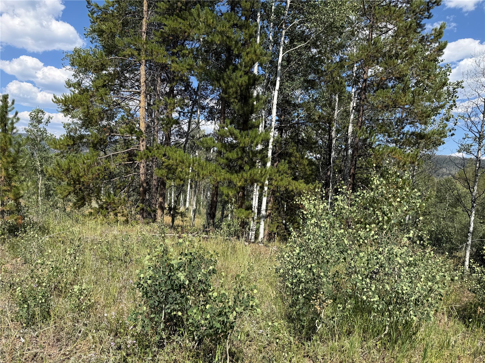 Lot 61 & 62 Big Whip Way Oak Creek CO 80467