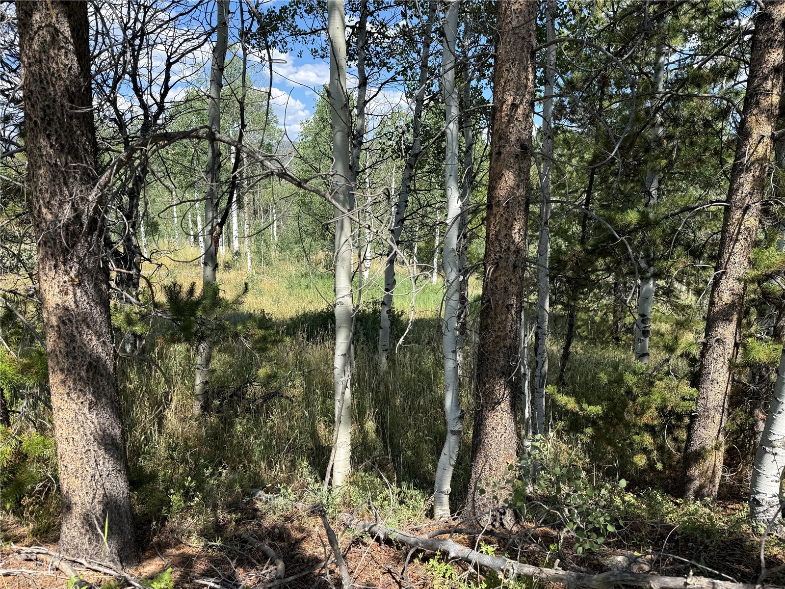 Lot 61 & 62 Big Whip Way Oak Creek CO 80467