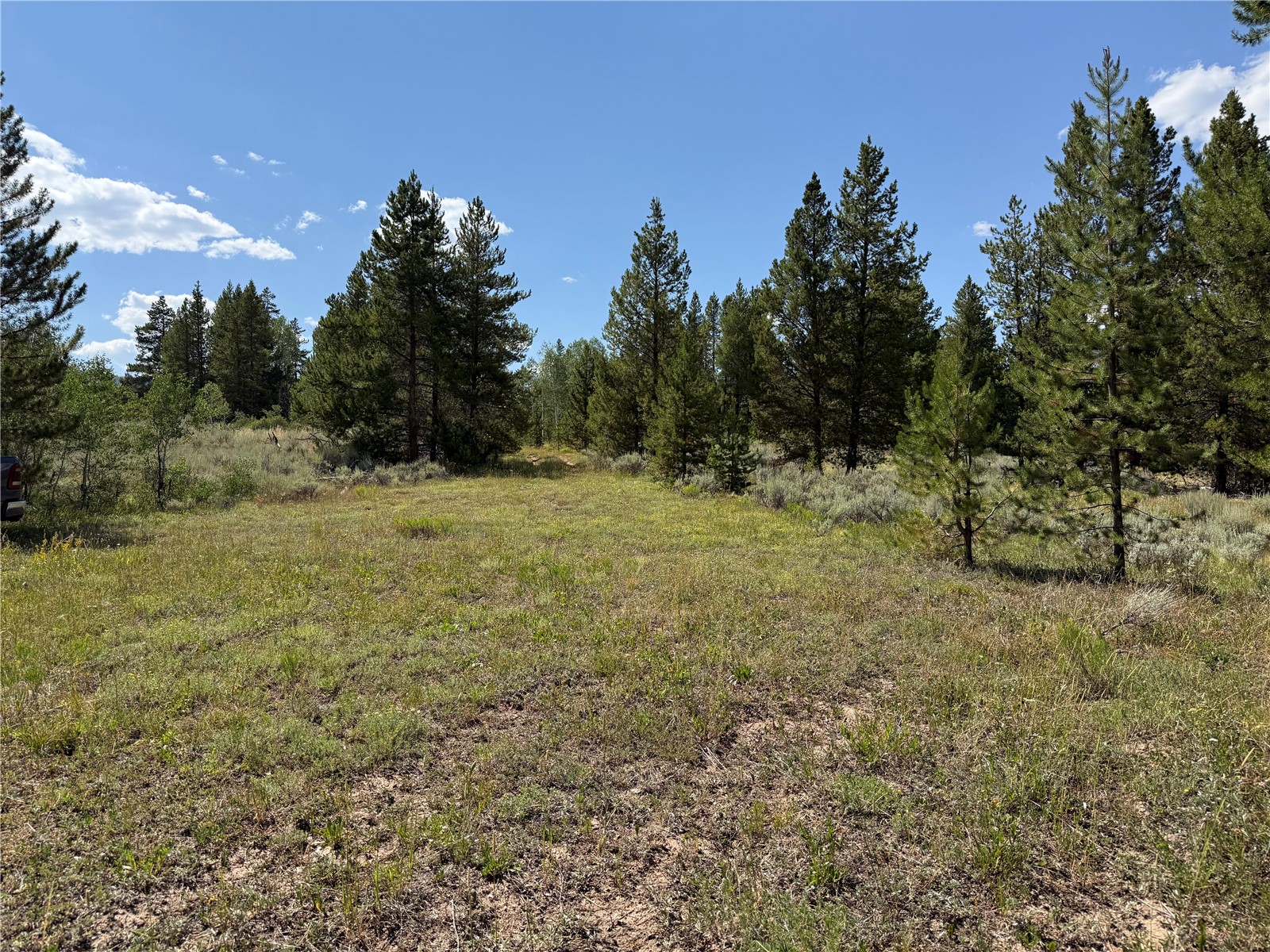 Lot 61 & 62 Big Whip Way Oak Creek CO 80467