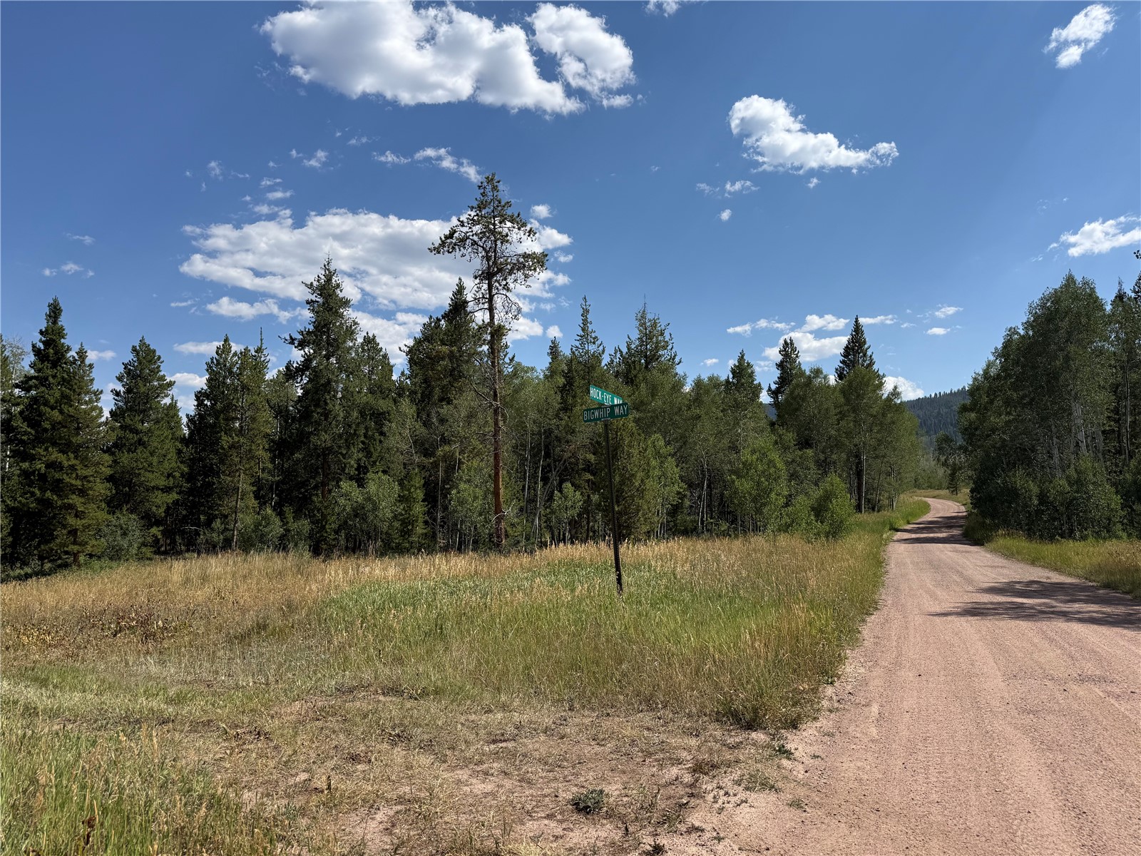Lot 61 & 62 Big Whip Way Oak Creek CO 80467