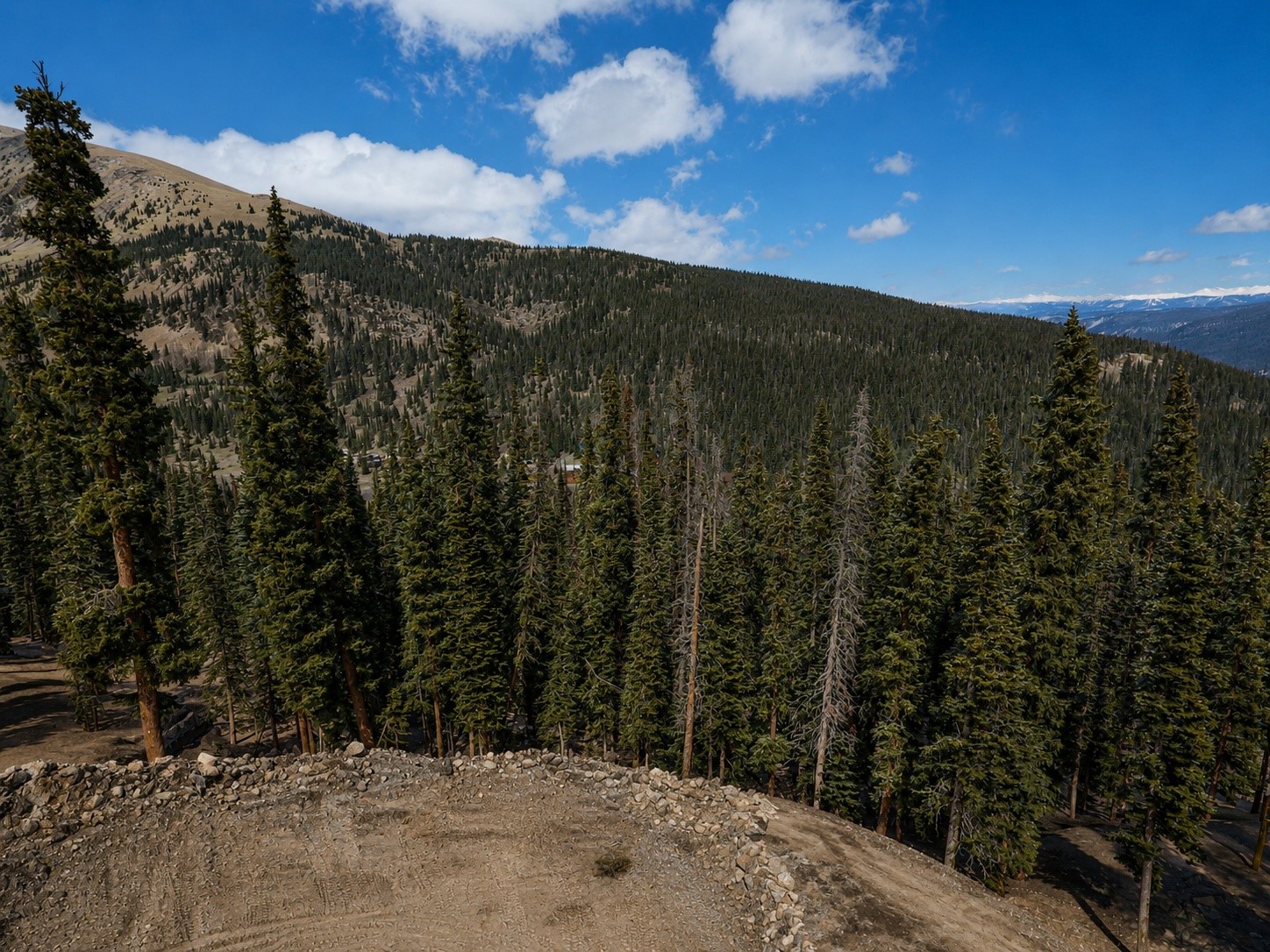450 Quandary View Drive Breckenridge CO 80424