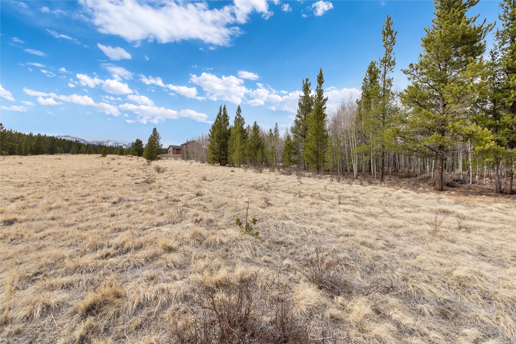 0 Bluestem Fairplay CO 80440