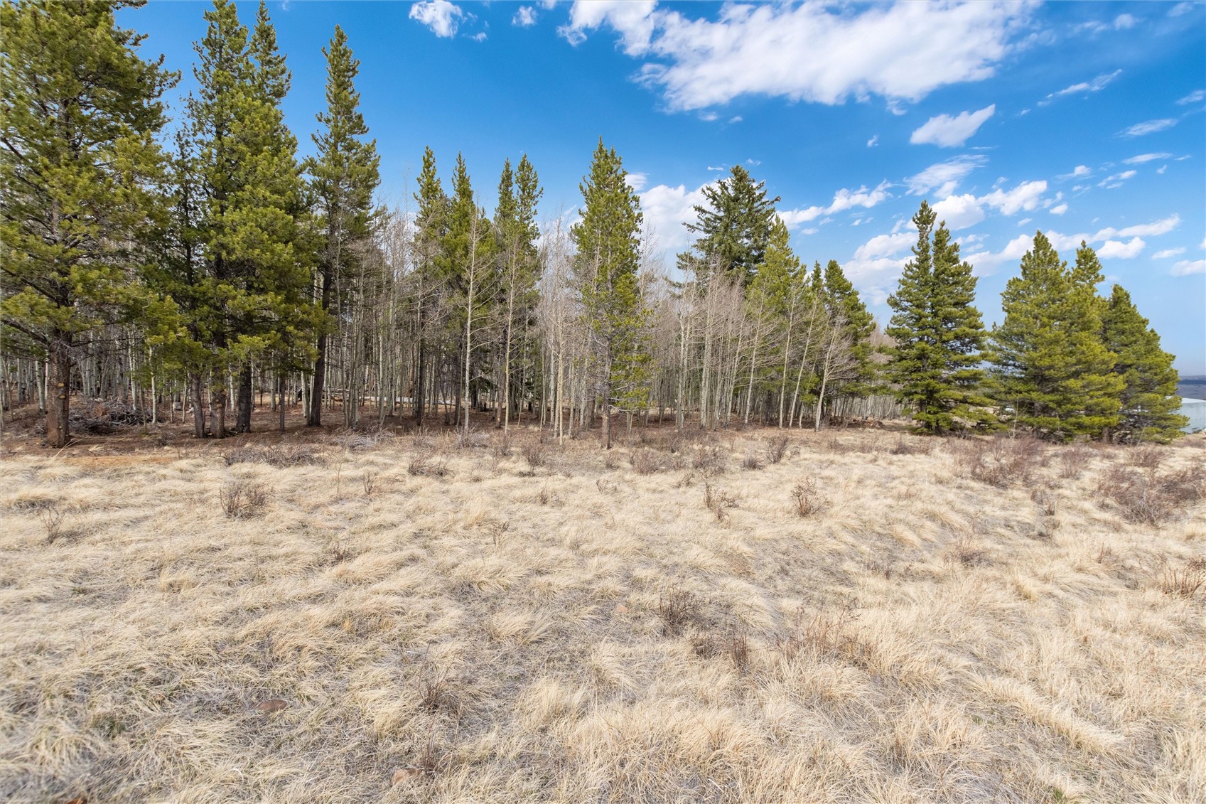 0 Bluestem Fairplay CO 80440