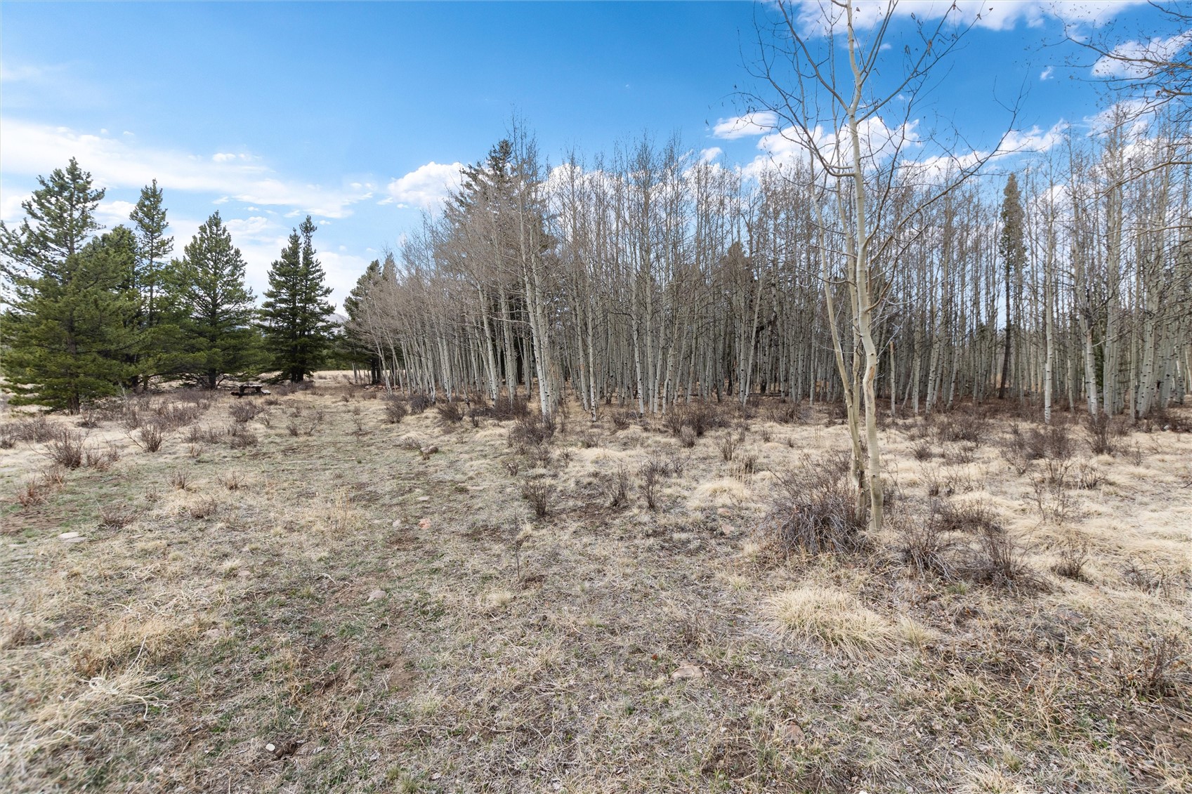 0 Bluestem Fairplay CO 80440