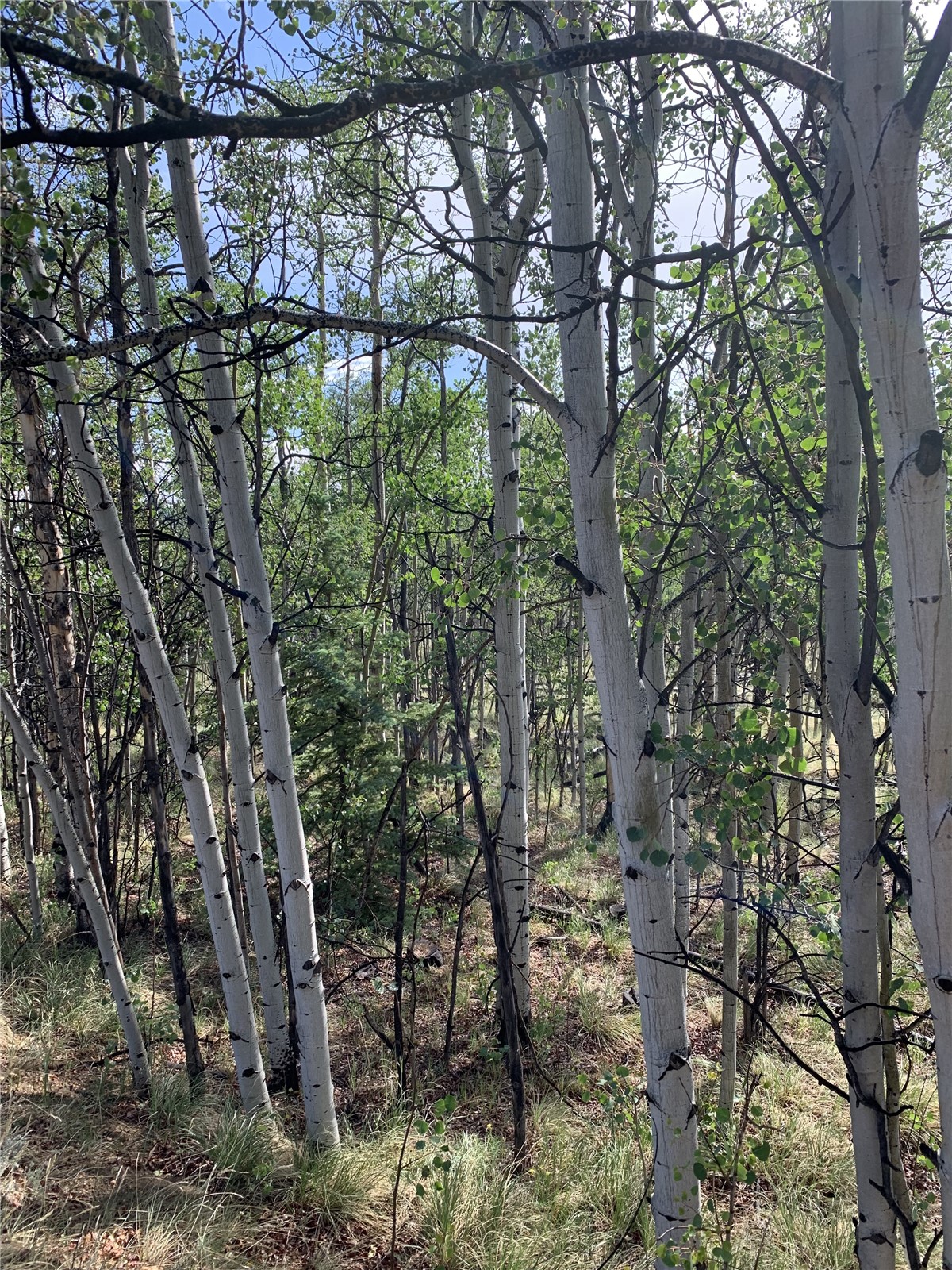 540 Vulture Lane Como CO 80432