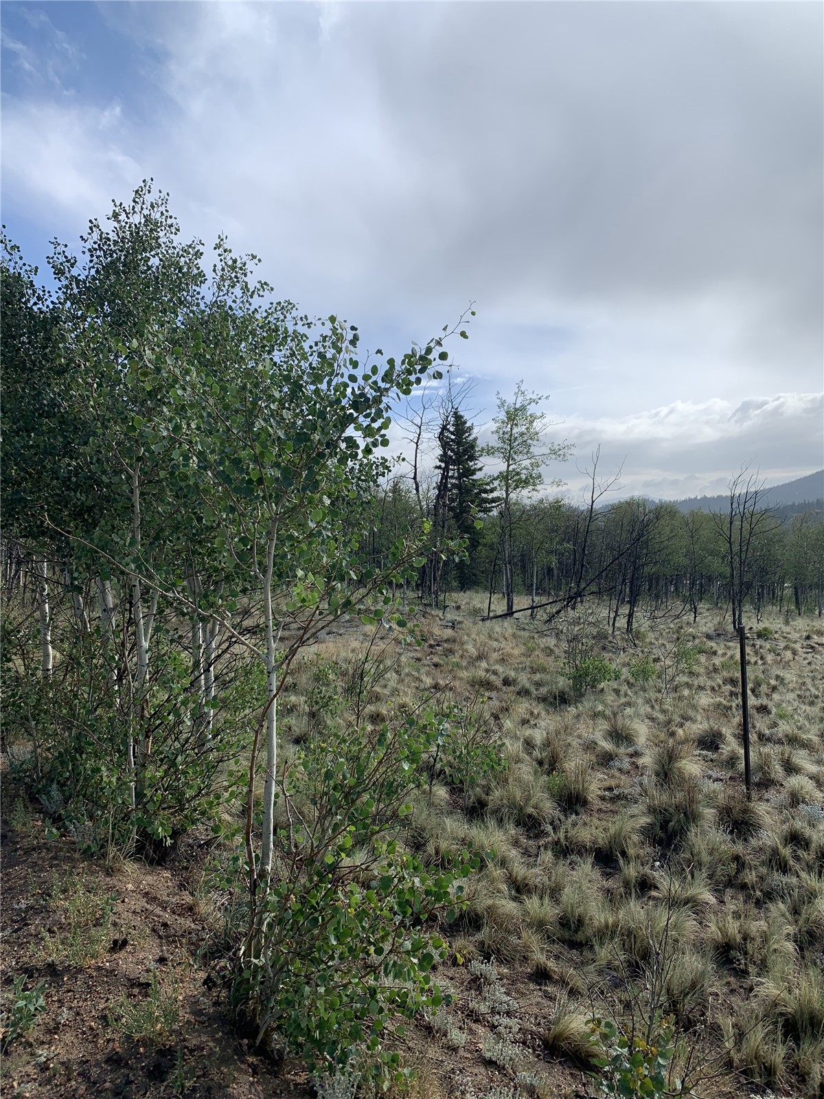 540 Vulture Lane Como CO 80432