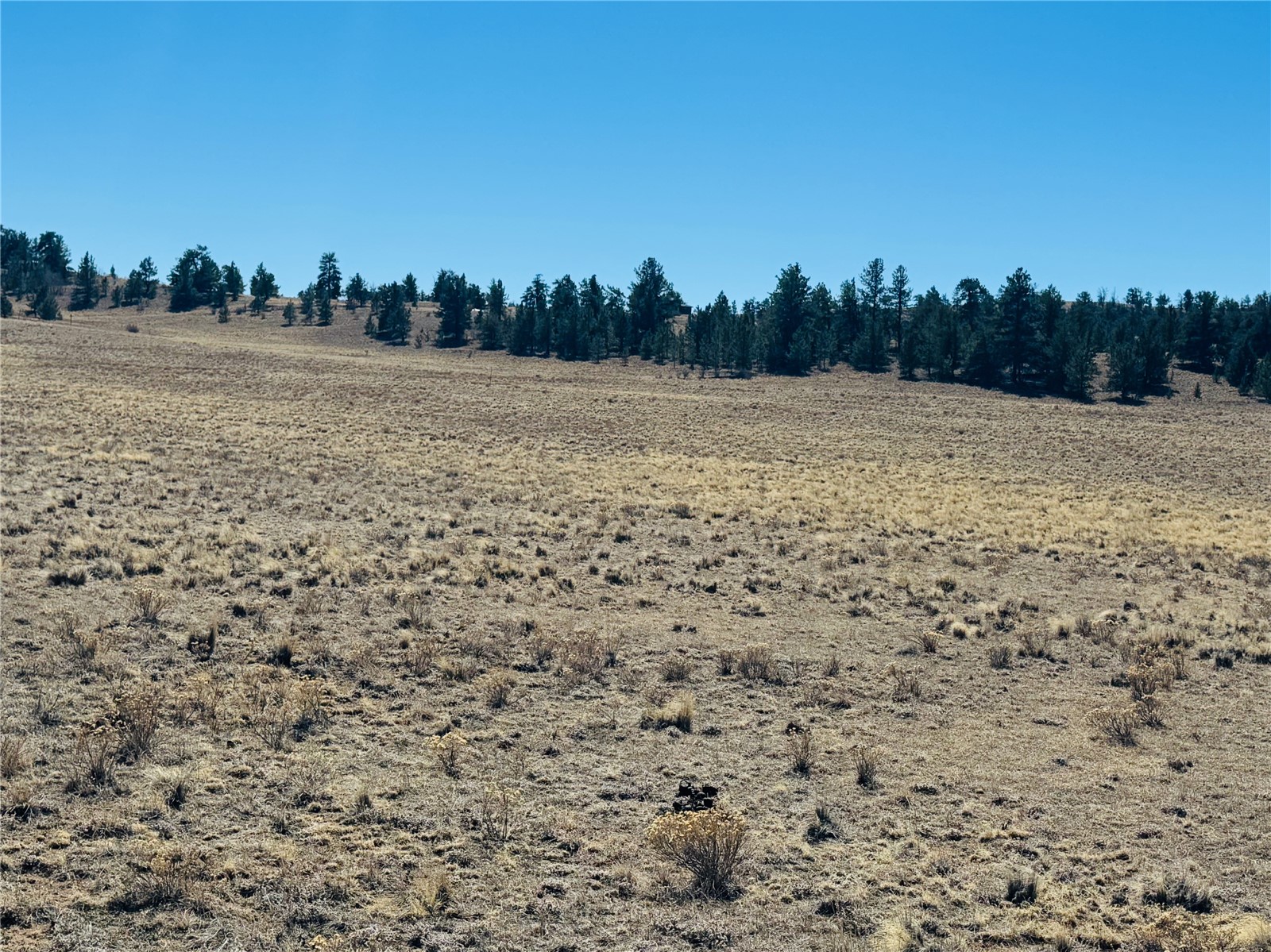 3067 Fitzsimmons Road Hartsel CO 80449