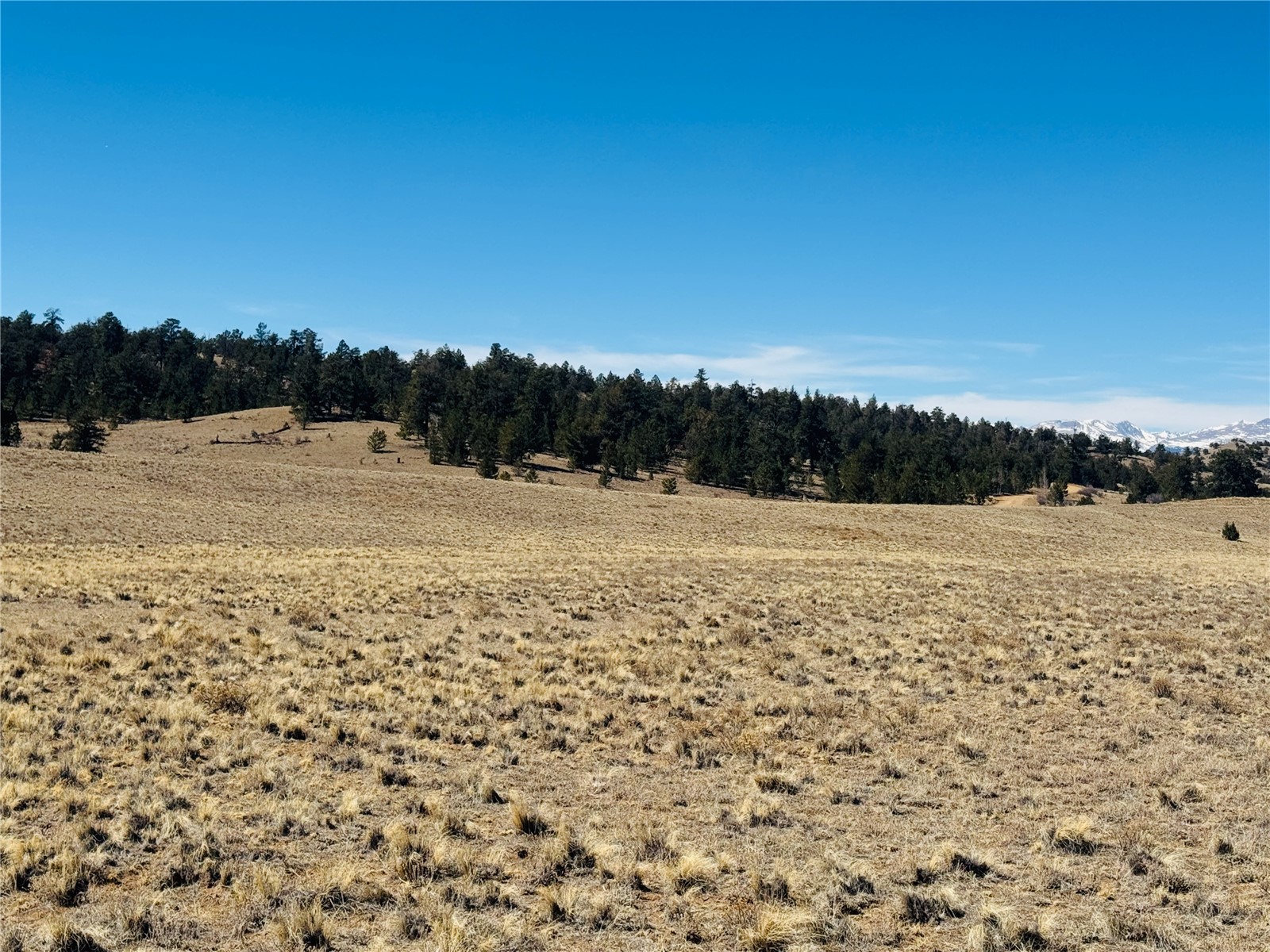 3067 Fitzsimmons Road Hartsel CO 80449