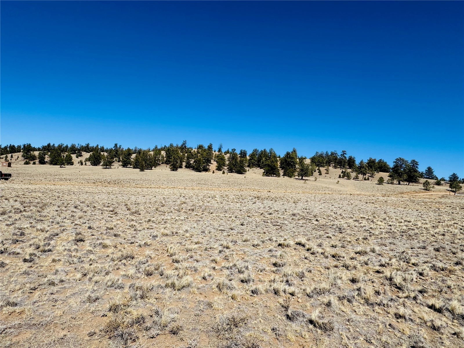 3067 Fitzsimmons Road Hartsel CO 80449