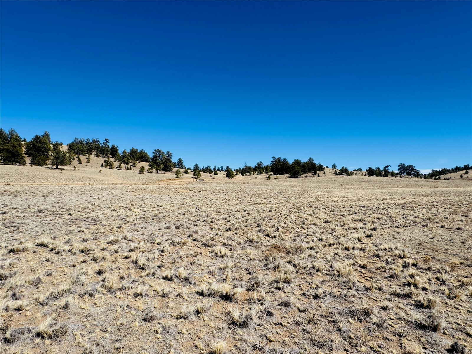 3067 Fitzsimmons Road Hartsel CO 80449