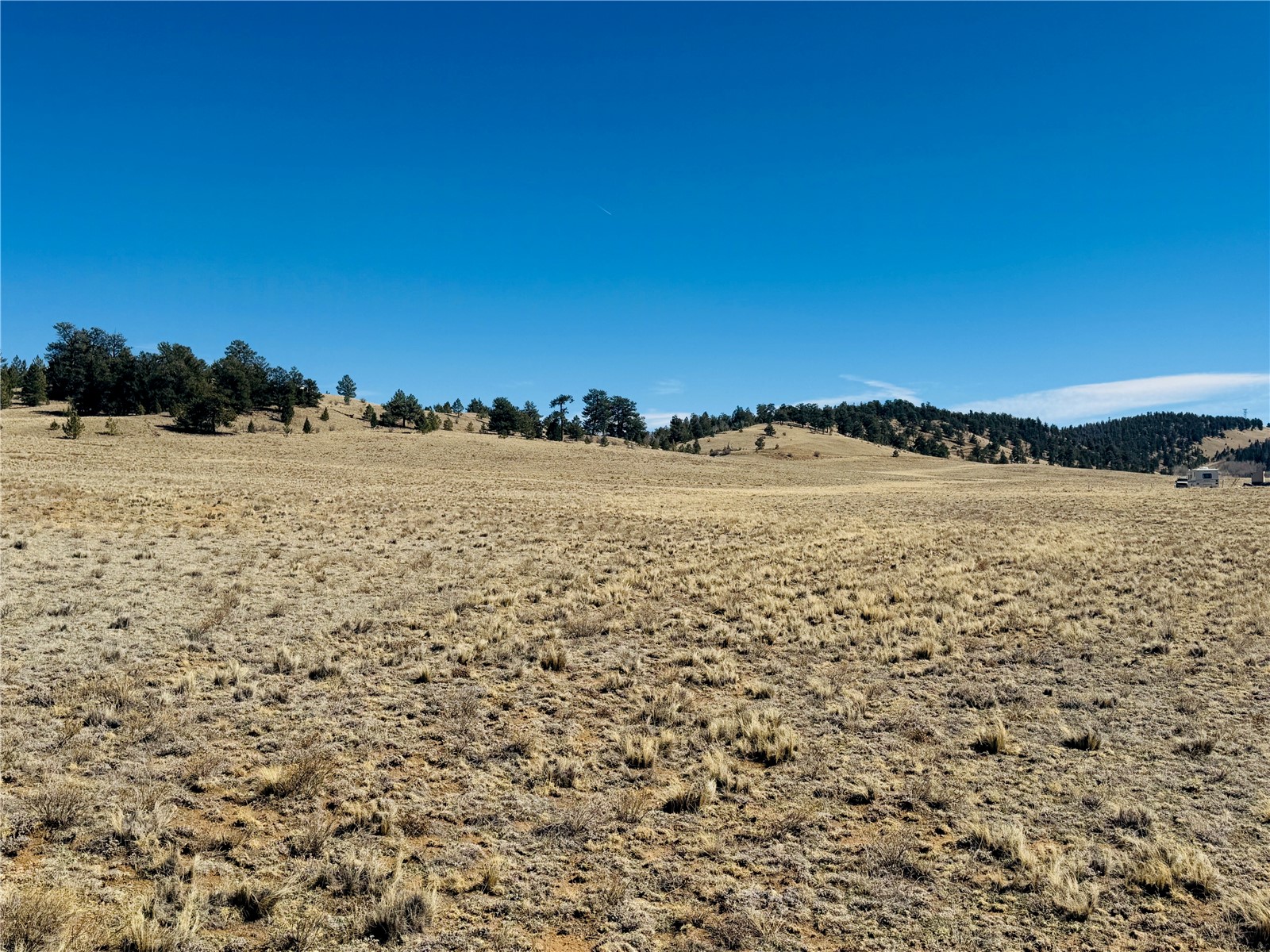 3067 Fitzsimmons Road Hartsel CO 80449