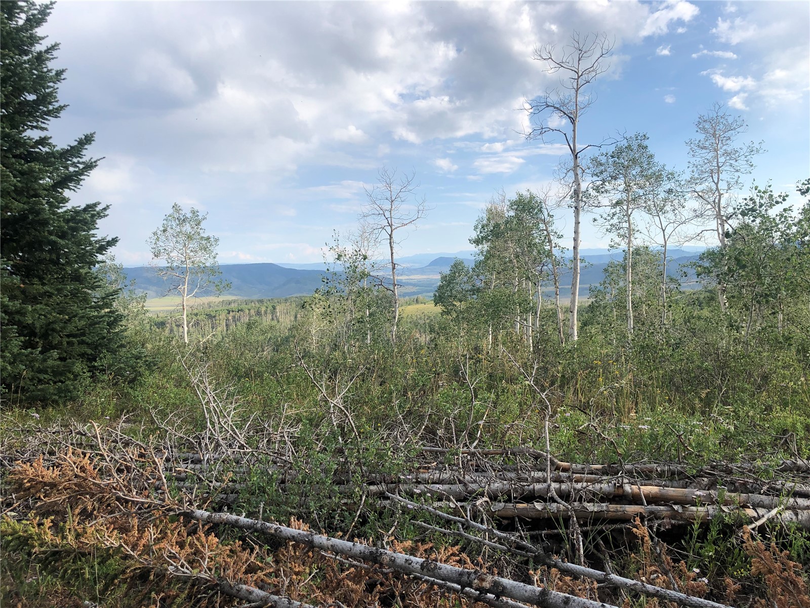 Tbd Beaver Canyon Drive Clark CO 80428