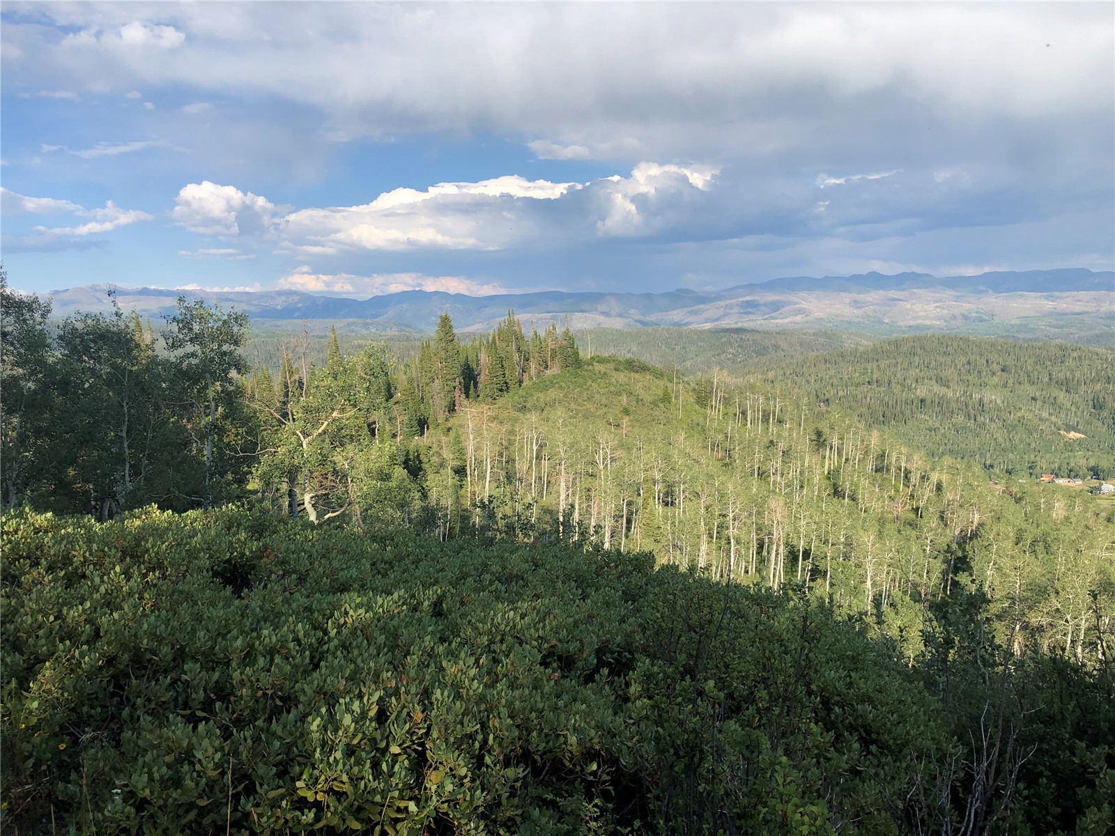 Tbd Beaver Canyon Drive Clark CO 80428