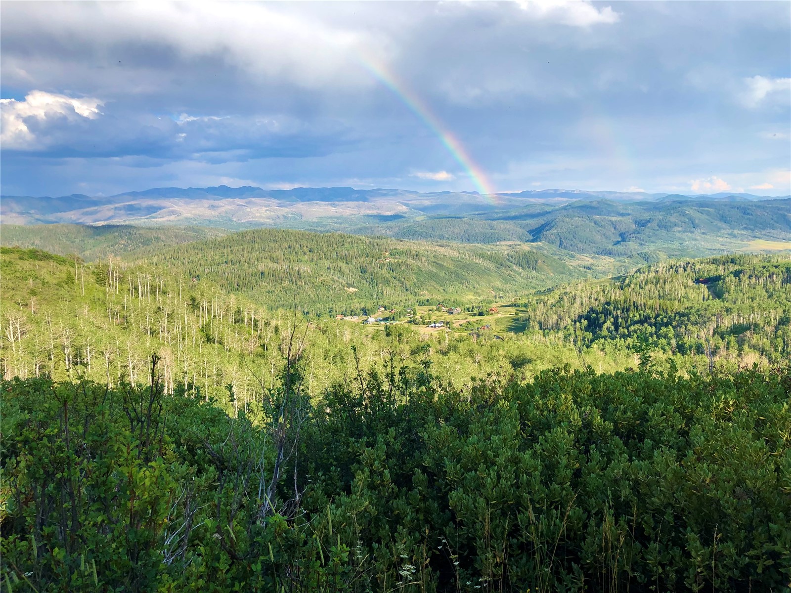 Tbd Beaver Canyon Drive Clark CO 80428