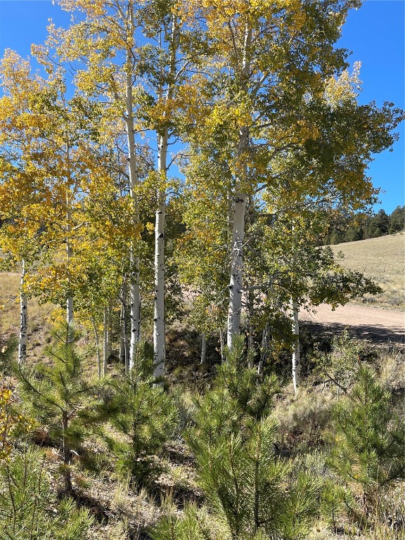 356 Bolster Drive Hartsel CO 80449