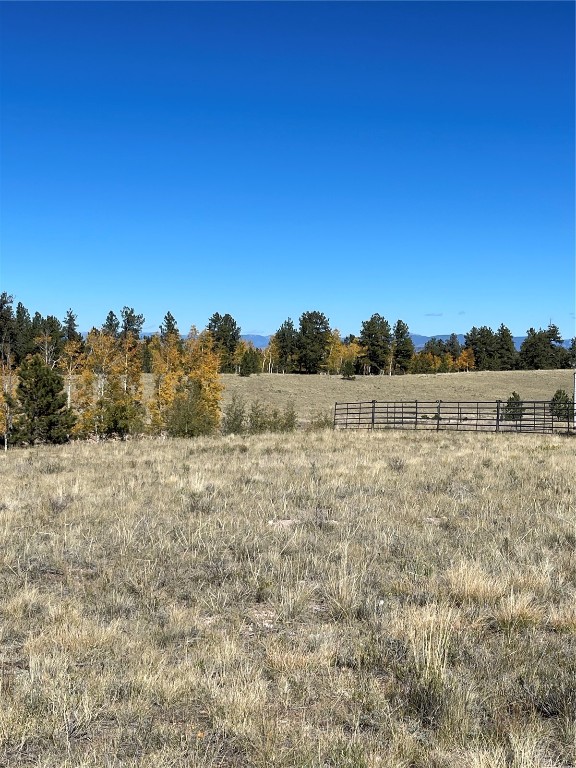 356 Bolster Drive Hartsel CO 80449