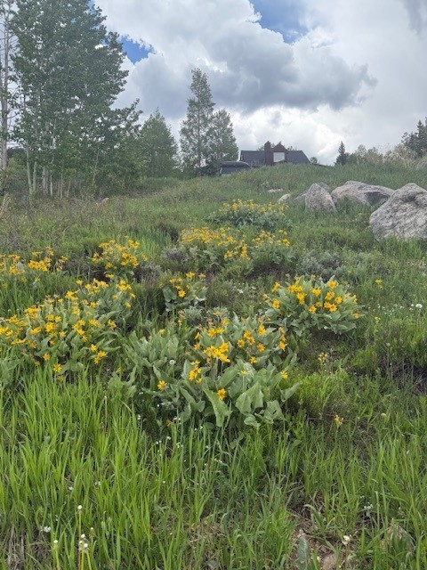 71 V Road Silverthorne CO 80498