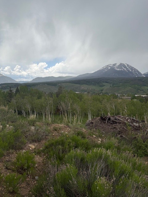 71 V Road Silverthorne CO 80498