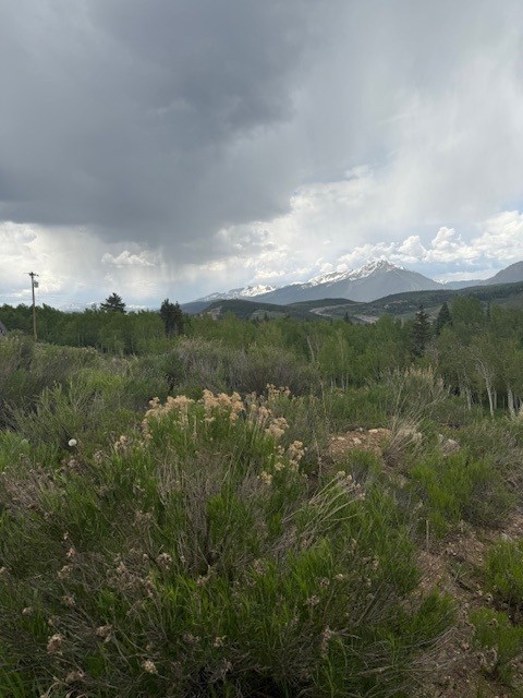 71 V Road Silverthorne CO 80498