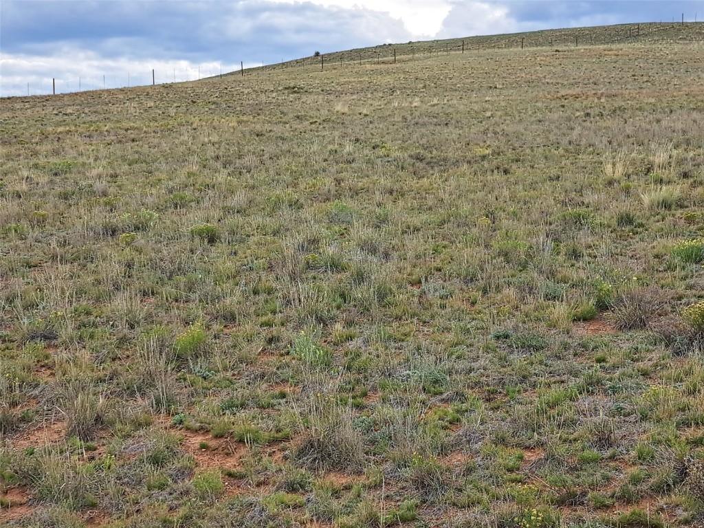 00000 Kiowa Road Hartsel CO 80449