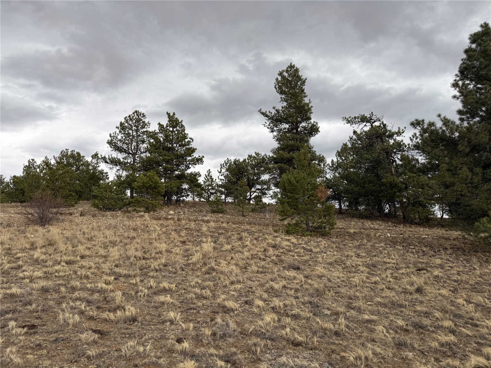 990 Coyotero Trail Hartsel CO 80449