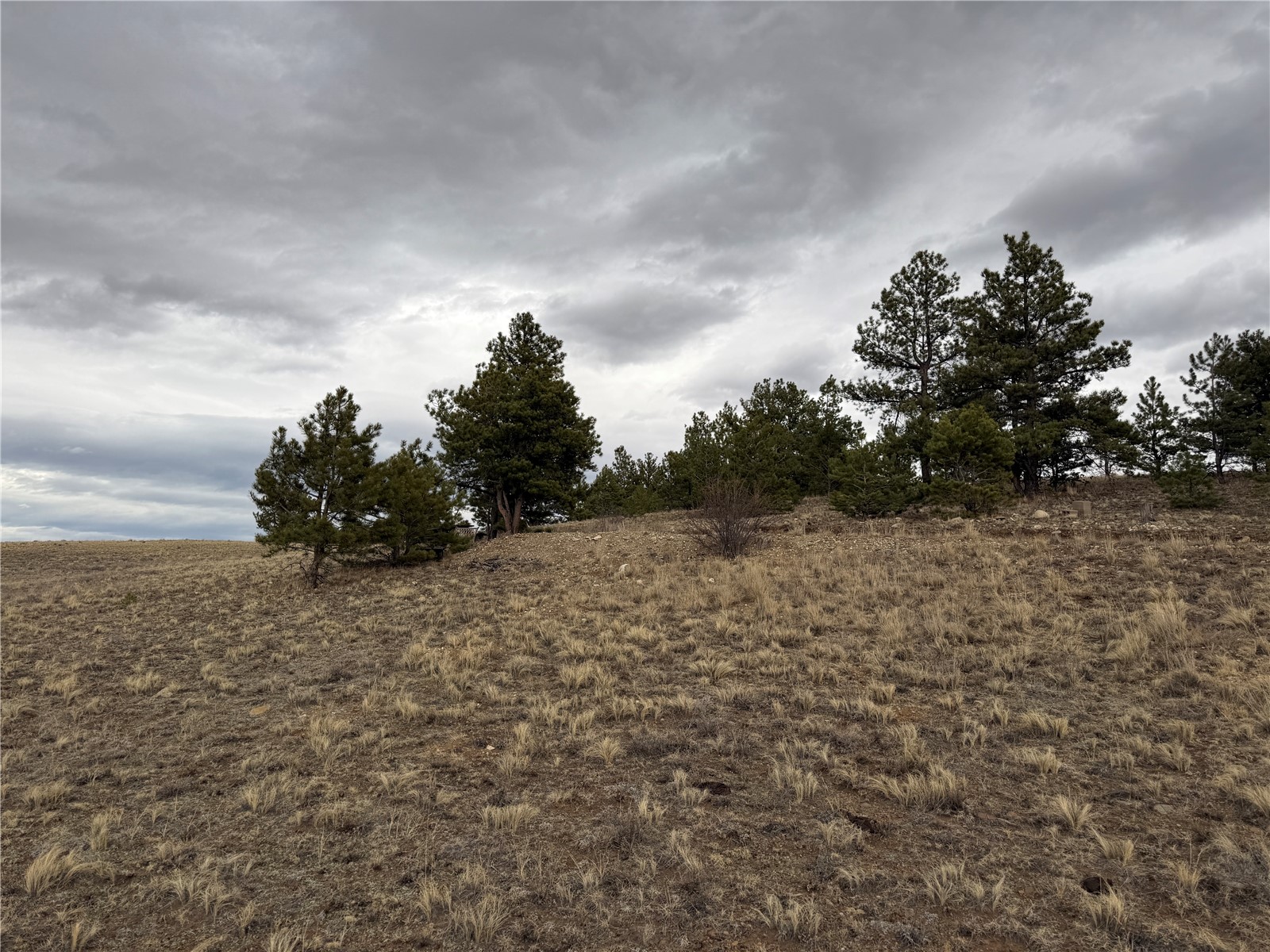 990 Coyotero Trail Hartsel CO 80449