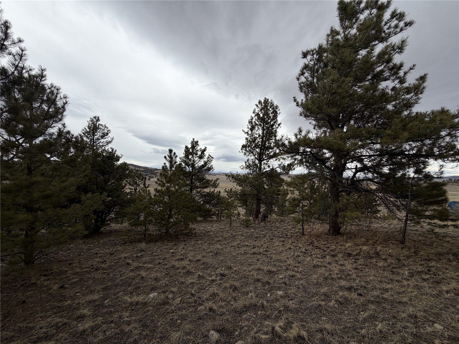 990 Coyotero Trail Hartsel CO 80449