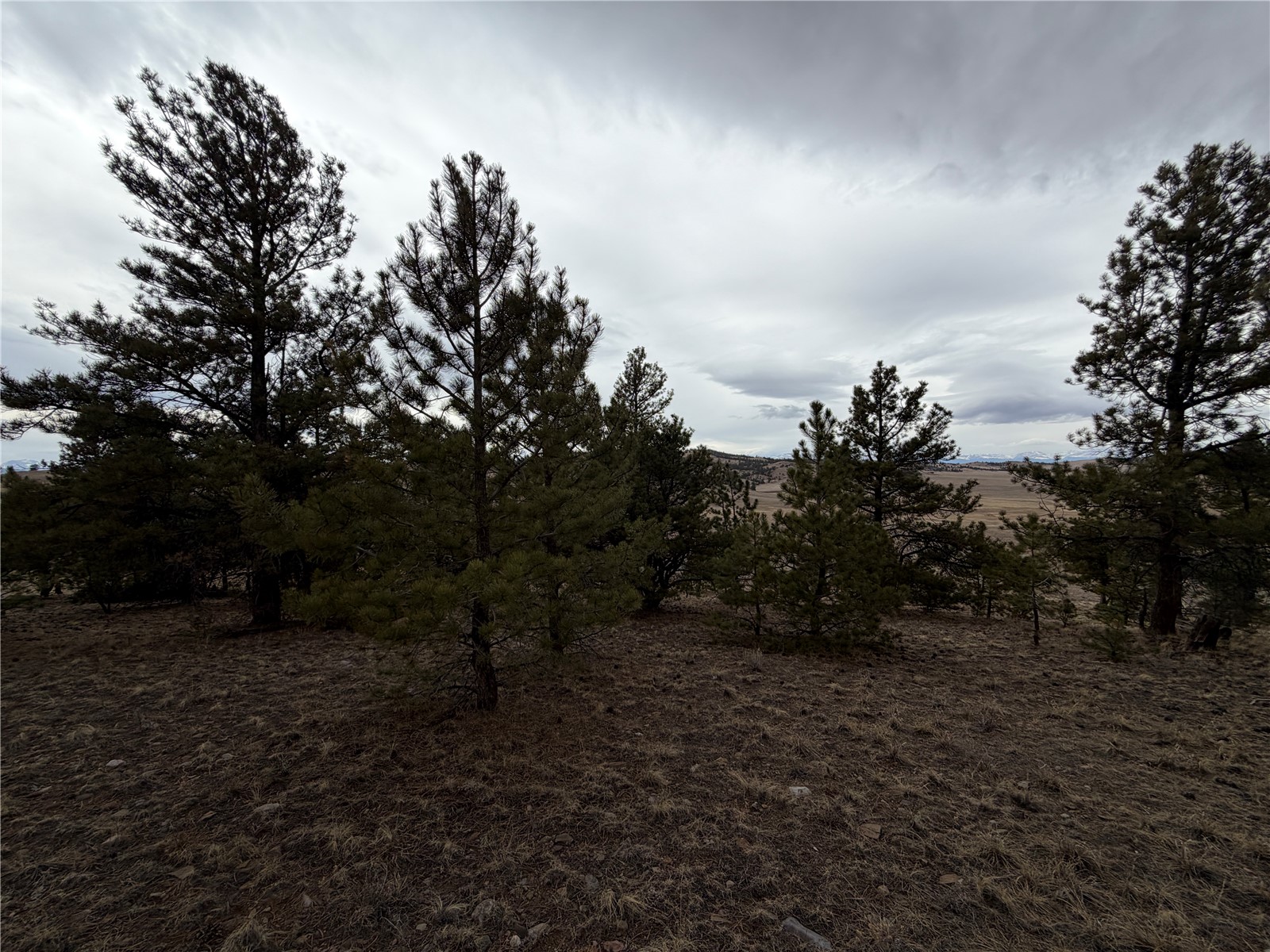 990 Coyotero Trail Hartsel CO 80449