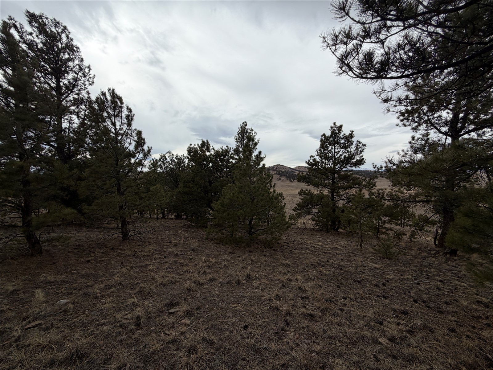 990 Coyotero Trail Hartsel CO 80449