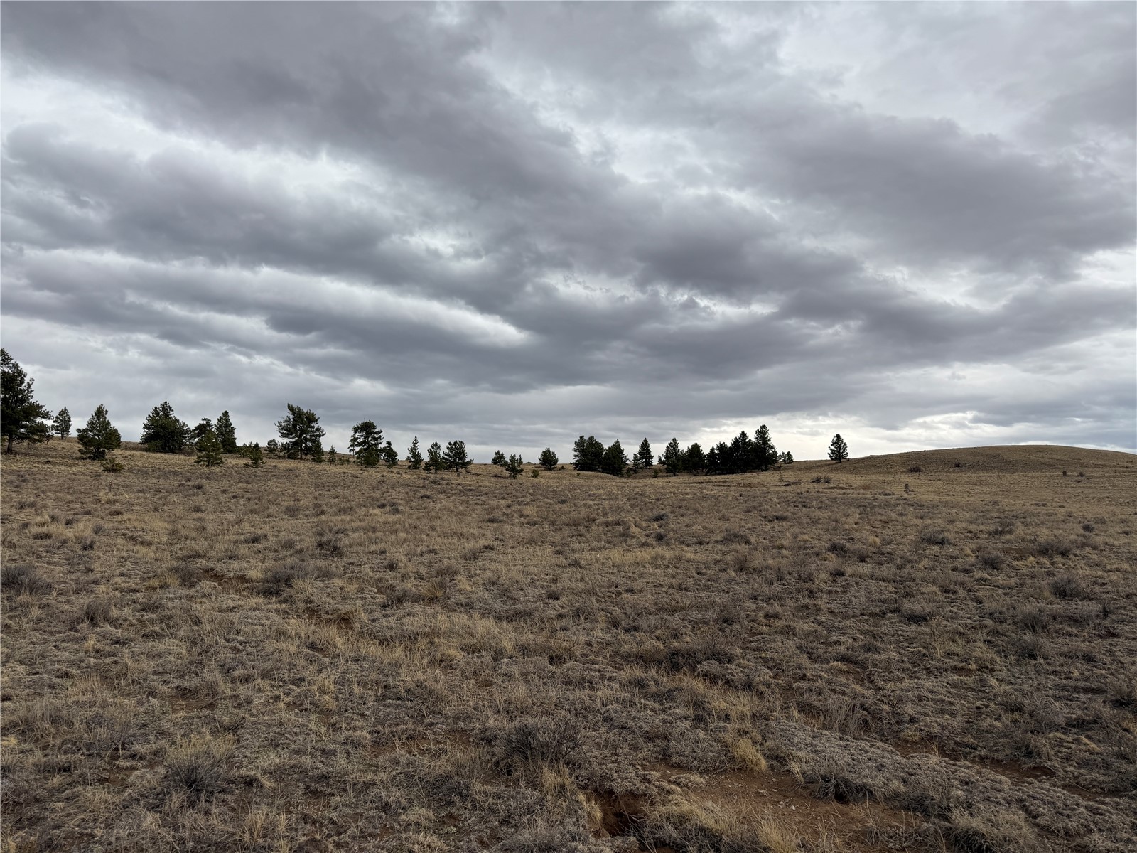 990 Coyotero Trail Hartsel CO 80449