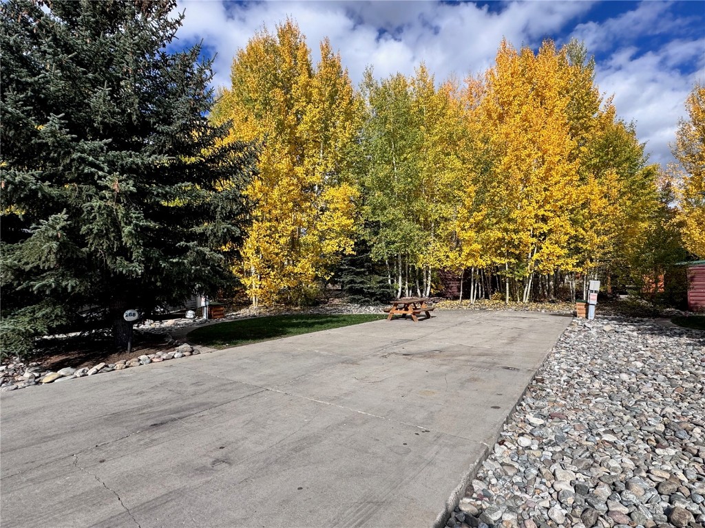 85 Revett #268 Drive Breckenridge CO 80424
