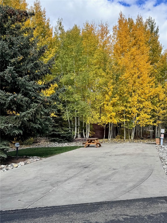 85 Revett #268 Drive Breckenridge CO 80424