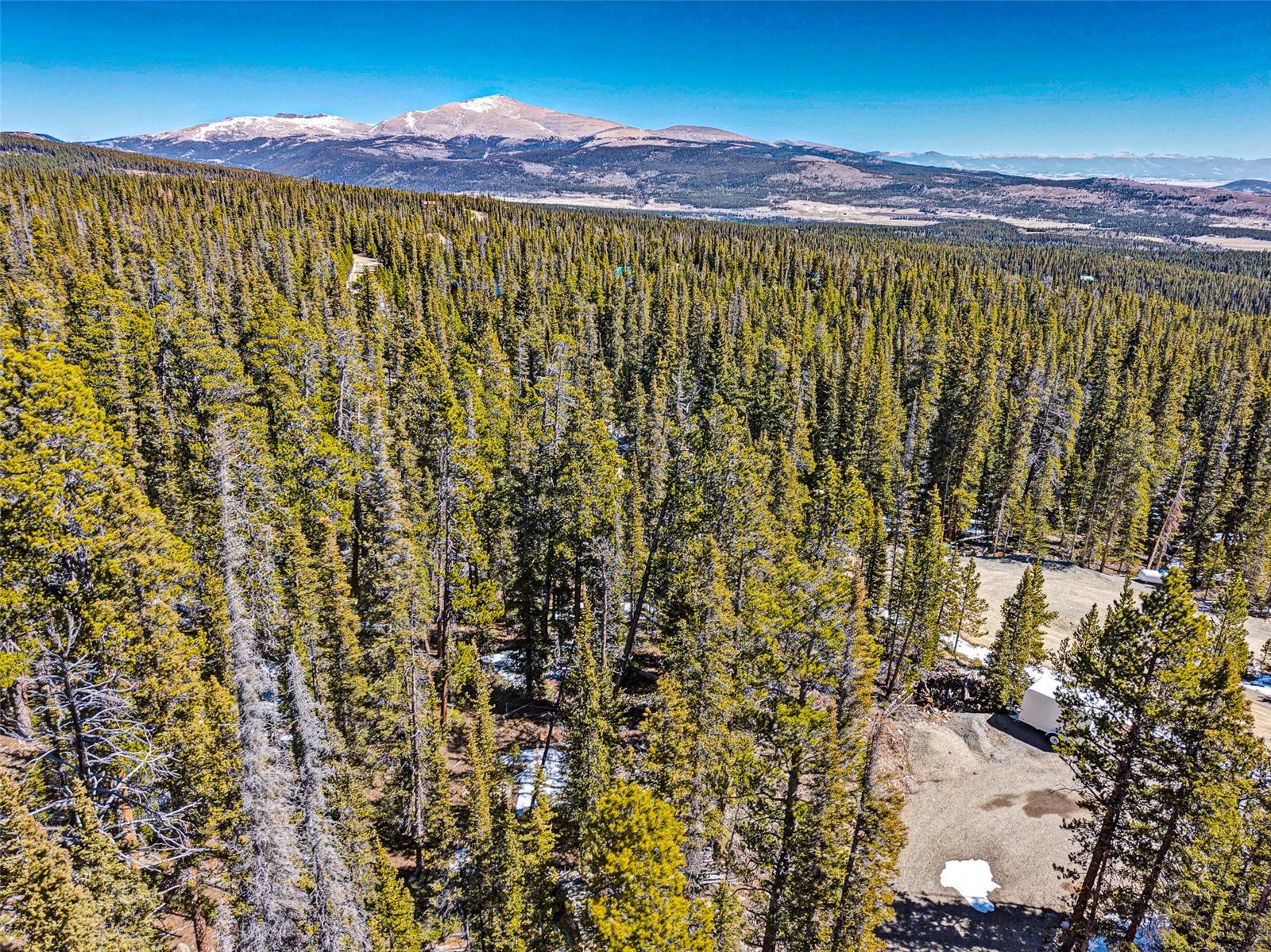 313 Porcupine Road Fairplay CO 80440