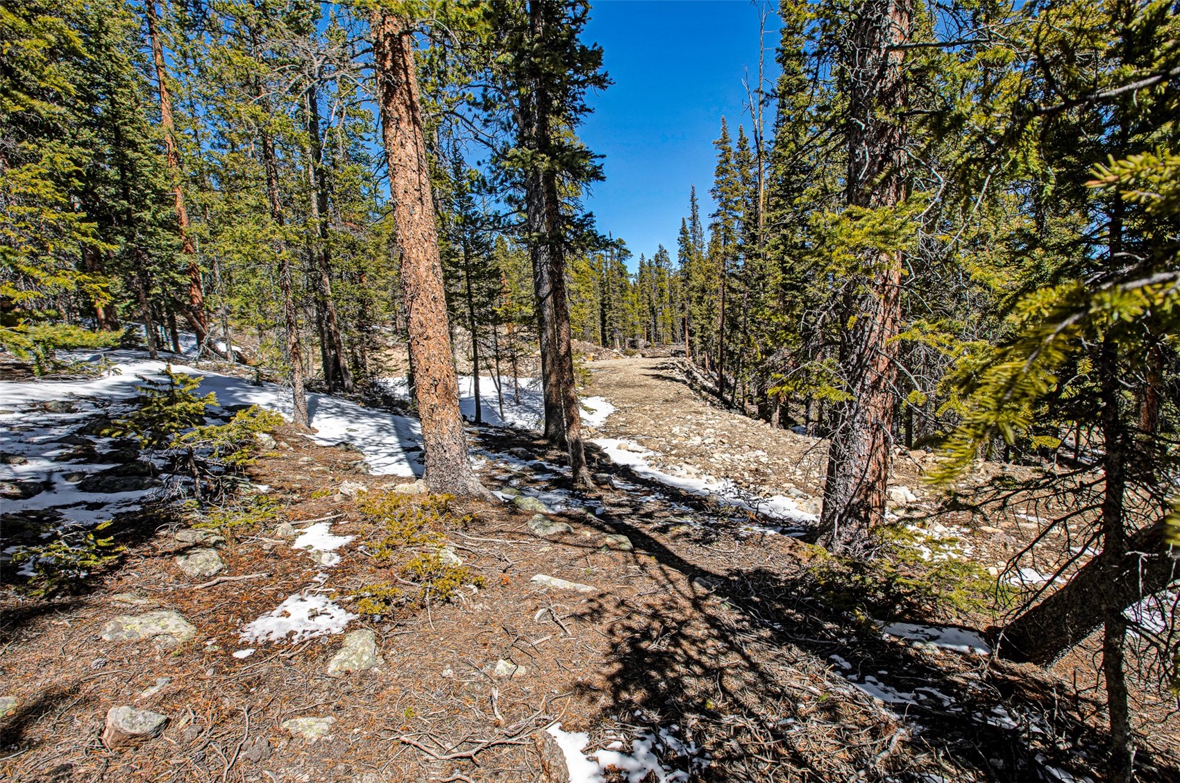 313 Porcupine Road Fairplay CO 80440