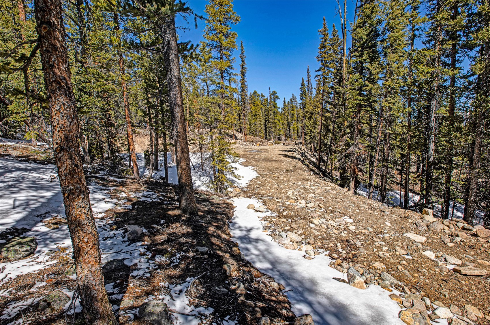 313 Porcupine Road Fairplay CO 80440