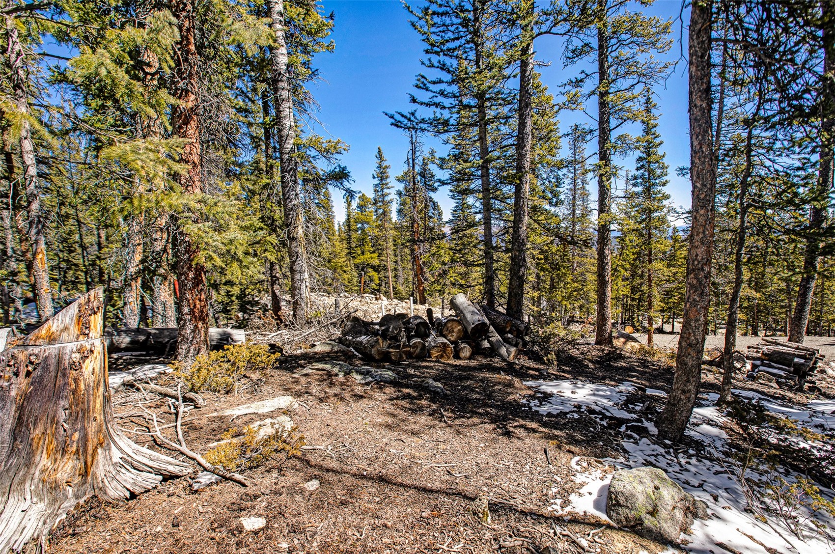 313 Porcupine Road Fairplay CO 80440