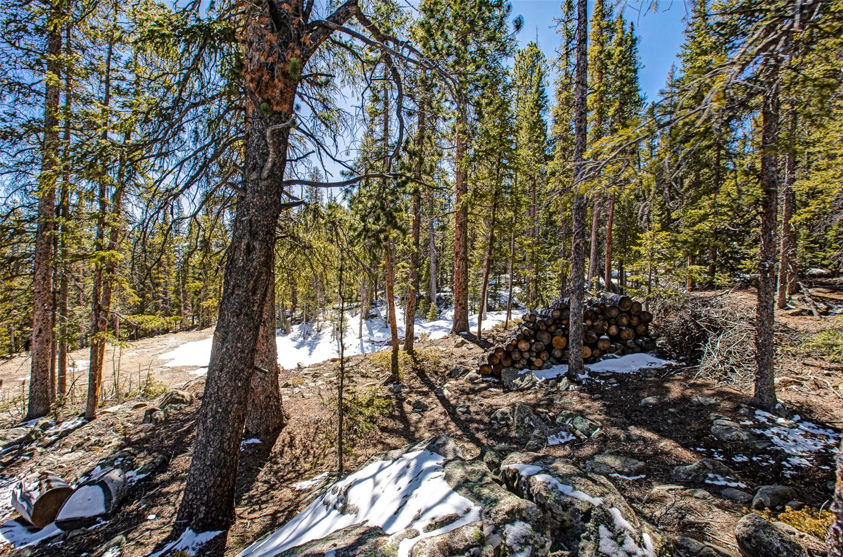 313 Porcupine Road Fairplay CO 80440