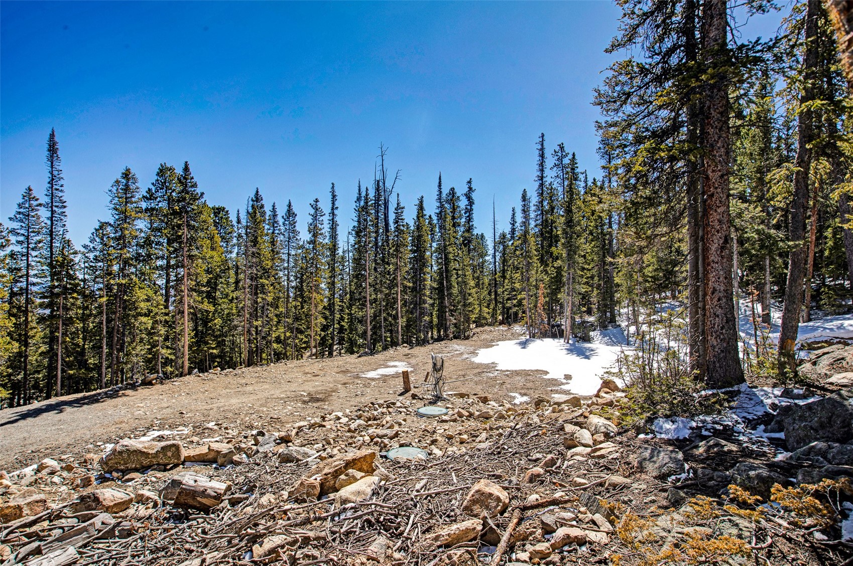 313 Porcupine Road Fairplay CO 80440