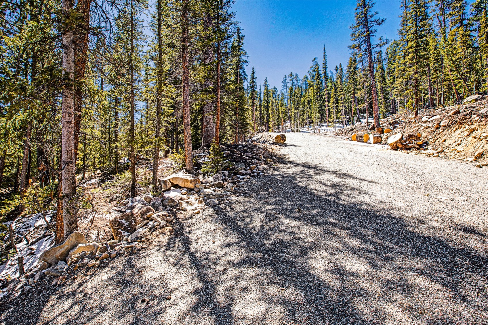 313 Porcupine Road Fairplay CO 80440