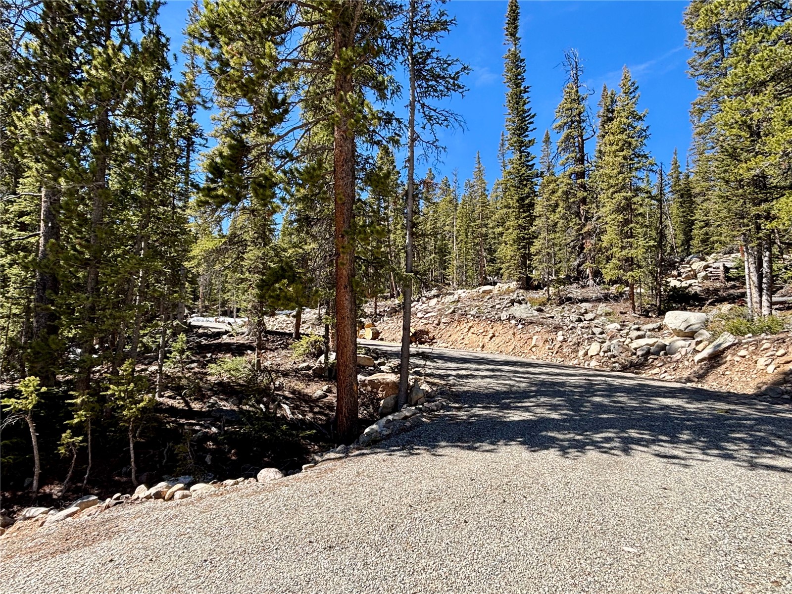 313 Porcupine Road Fairplay CO 80440